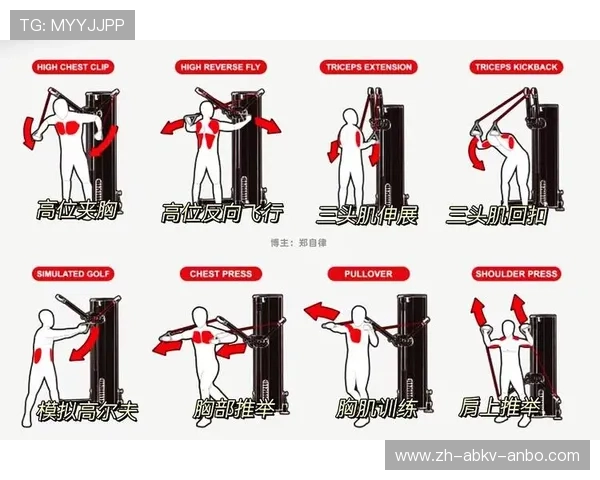 居家锻炼手臂肌肉的健身器材推荐及锻炼示范