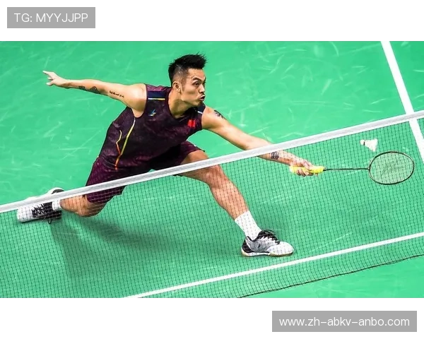 羽毛球亚锦赛 林丹