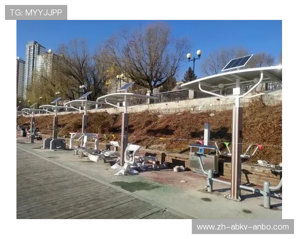 江边健身器材中旋转类设备的使用方式与注意事项