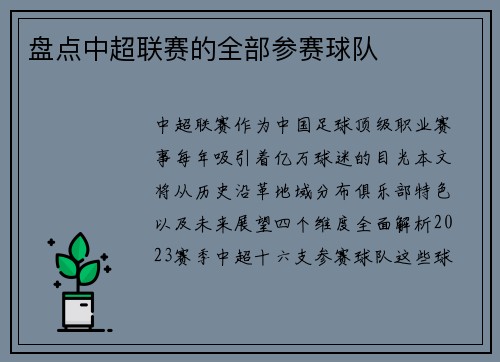 盘点中超联赛的全部参赛球队
